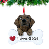 Personalized Chocolate Lab Christmas Ornament